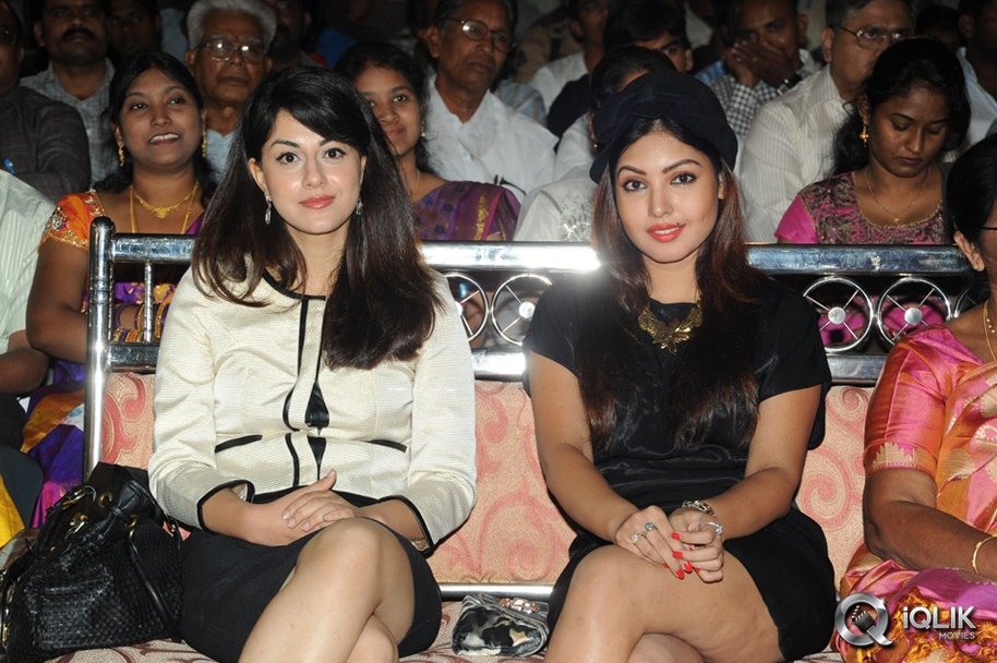 Billa-Ranga-Movie-Audio-Launch